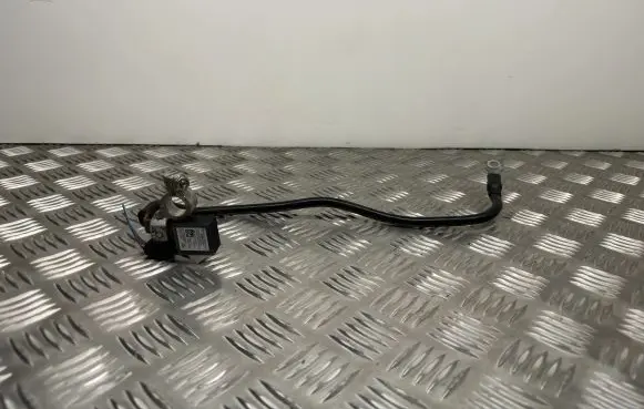 Mercedes-Benz E C207 W207 Negative earth cable (battery) A1665420418