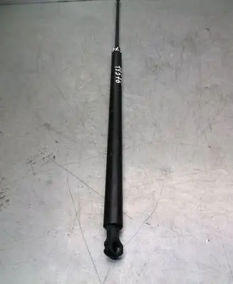 Citroen Xsara Picasso Tailgate/trunk strut/damper 8731F1