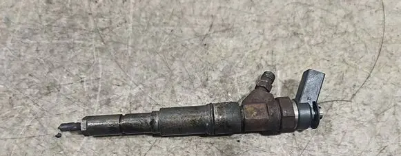 Peugeot Partner Fuel injector 0445110131