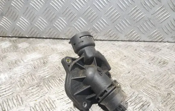 Thermostat/thermostat housing