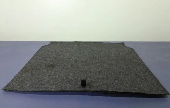 Ford Mustang VI Front floor carpet liner