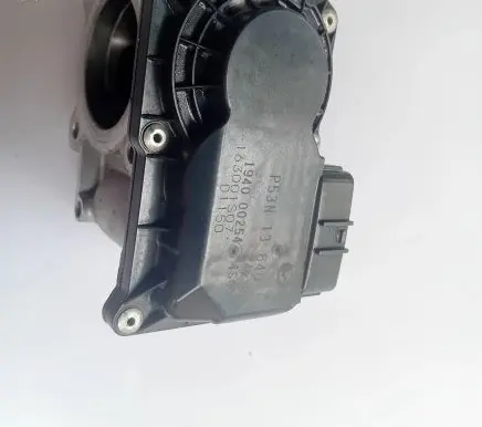 Mazda 2 Throttle valve P53N13640 194000254