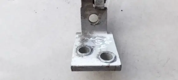 Rear door lower hinge