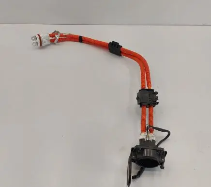 Nissan Leaf II (ZE1) Electric car charging cable 296B15SK1B