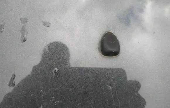Peugeot 607 Windshield washer spray nozzle 
