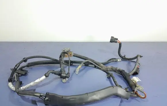 Audi Q5 SQ5 Other wiring loom 8K0971824