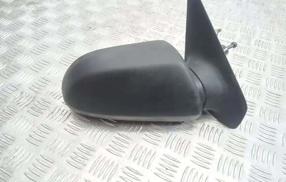 Renault 19 Manual wing mirror 