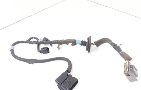 Front door wiring loom