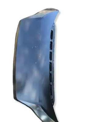 Fiat Ducato Engine bonnet/hood 0050158078 0080619 68316660AB