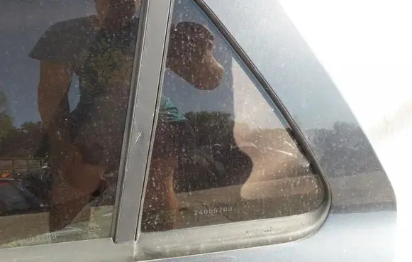 Renault Laguna II Rear vent window glass