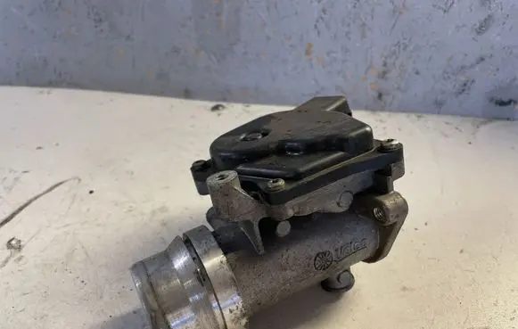 Renault Megane III Throttle valve 161A09794R