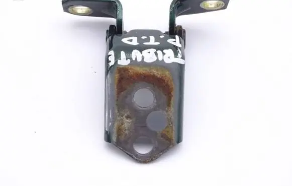 Mazda Tribute Rear door hinge set 