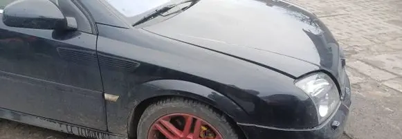 Opel Signum Fender