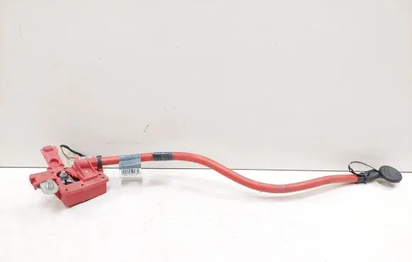 BMW 5 GT F07 Positive cable (battery) 9217035 10304410