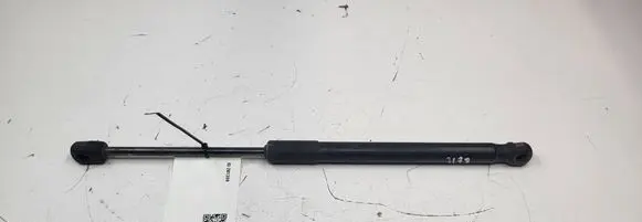 Nissan Leaf I (ZE0) Tailgate/trunk strut/damper 904503NL1A