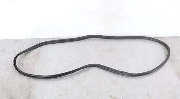 BMW X5M E70 Front door rubber seal 7333607