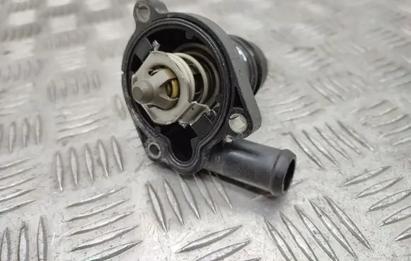 Thermostat/thermostat housing