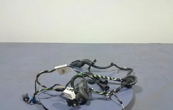 Porsche Cayenne (9PA) Other wiring loom 9Y0971162BE