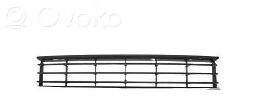 Volkswagen PASSAT B7 Front bumper lower grill 