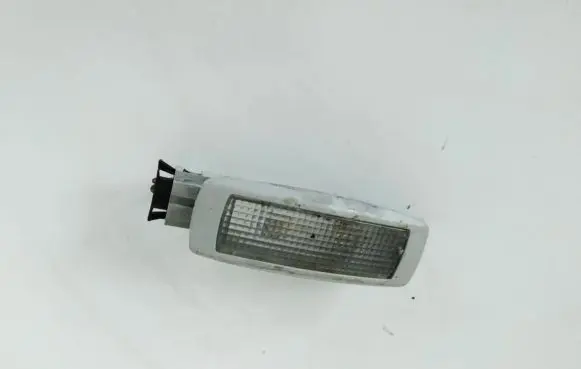 Volkswagen PASSAT B5 Rear seat light 3b9947113