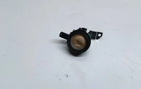 Front door high frequency speaker