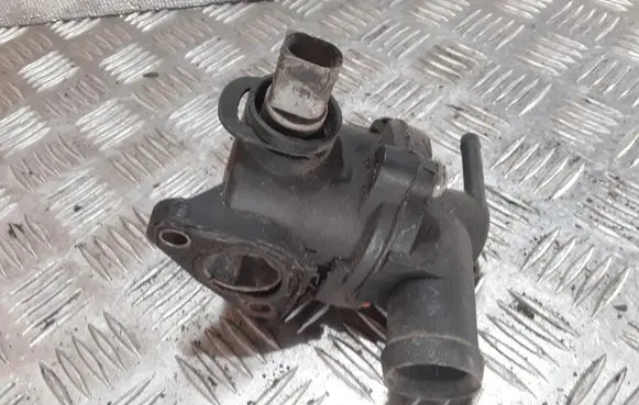 Thermostat/thermostat housing