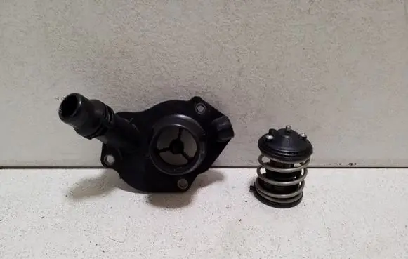 Thermostat/thermostat housing