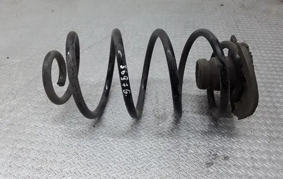Rear coil spring