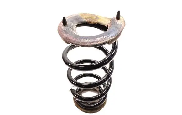 Tesla Model 3 Rear coil spring 1044472-01-E