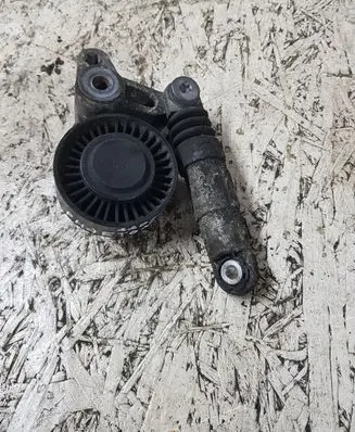 Volkswagen Phaeton Generator/alternator belt tensioner