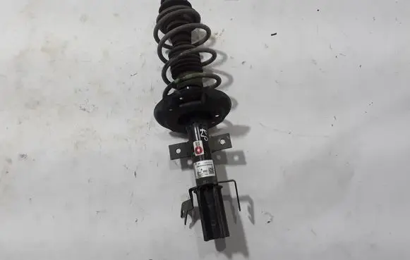 Dacia Sandero III Front shock absorber/damper 402009041R