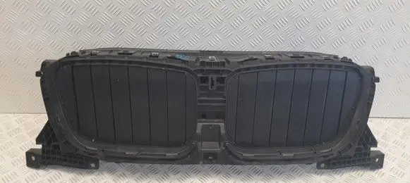BMW X3 G01 Radiator trim 