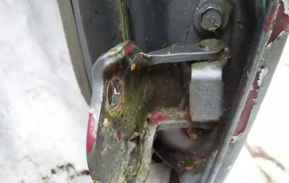 Rear door lower hinge