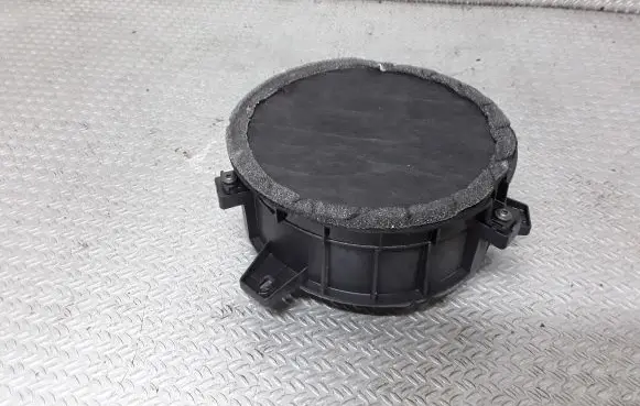Dodge Durango Rear door speaker