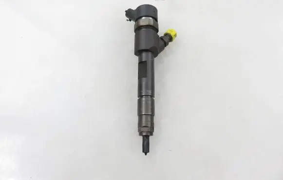 Suzuki Grand Vitara II Fuel injector 0445110230 8200389369
