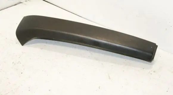 Rear/tail light trim molding
