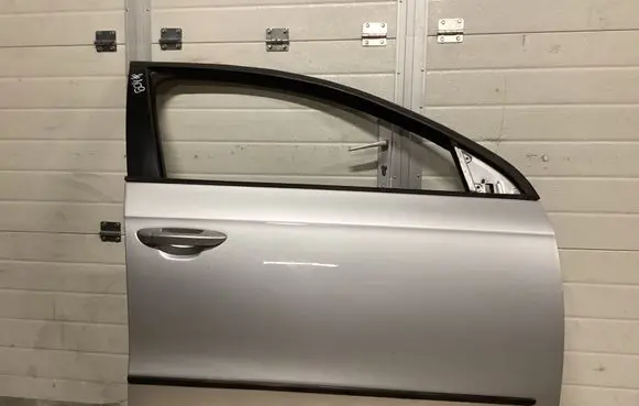 Volkswagen PASSAT B6 Front door