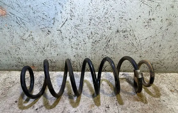 Rear coil spring