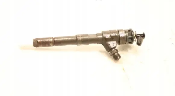Renault Kangoo II Fuel injector 0445110652