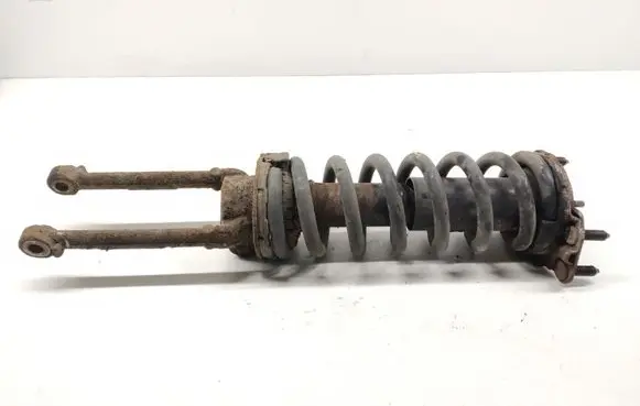 Dodge Nitro Front shock absorber/damper 