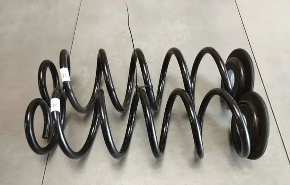 Rear coil spring