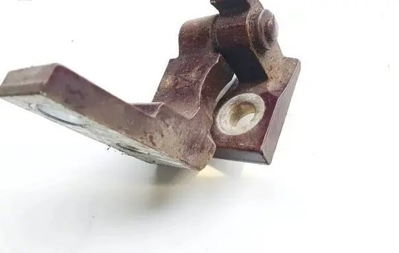 Rear door lower hinge