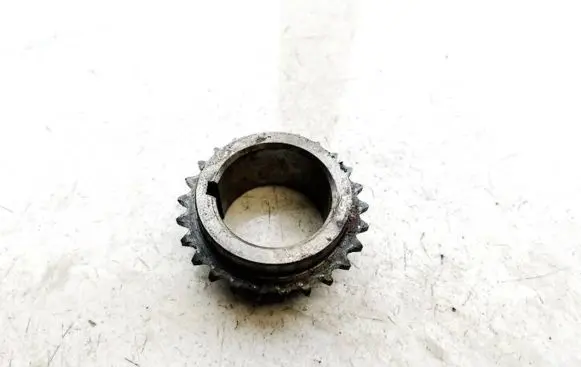 Hyundai ix 55 Camshaft pulley/ VANOS 