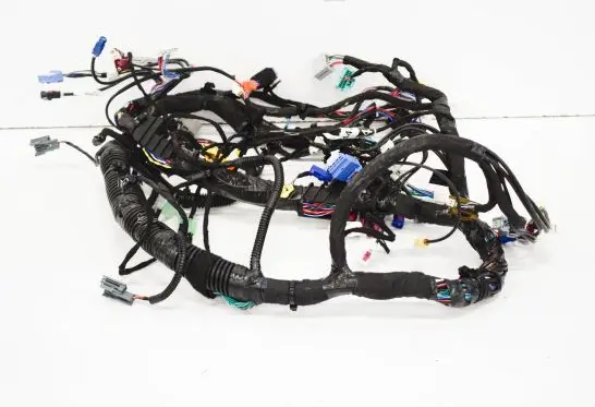 Tesla Model S Other wiring loom 200442201A