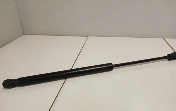 Tailgate/trunk strut/damper