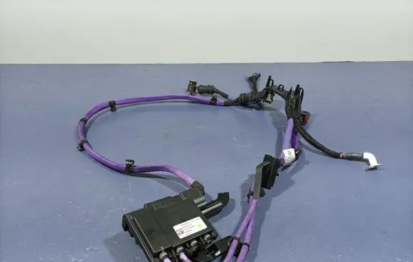 Audi A4 S4 B7 8E 8H Other wiring loom 8781592