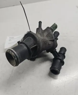 Thermostat/thermostat housing