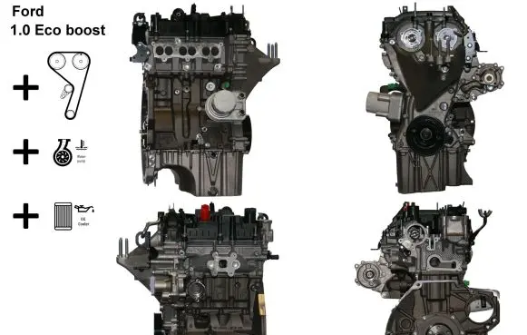 Ford Fiesta Engine SFJB