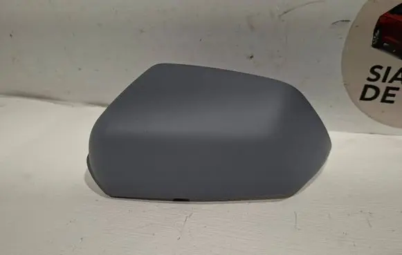 Skoda Octavia Mk2 (1Z) Plastic wing mirror trim cover GV12902LH