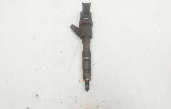 Renault Laguna II Fuel injector 0445110110